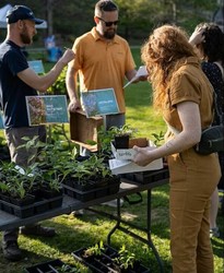 Native Plant Weekend