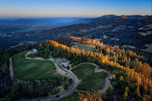 Wine Tasting Seminar: Moon Mountain Master Class