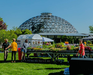 Spring Garden Market