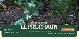 The Luck of the Leprechaun