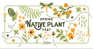 Spring Native Plant Fest