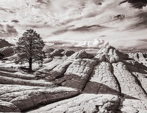 April Art Show: Southwest Creations Featuring Photography by Roy Harrington