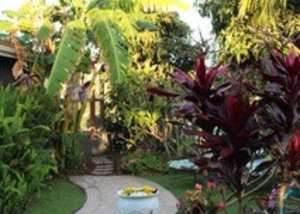 Clairemont Outdoor Living and Garden Tour