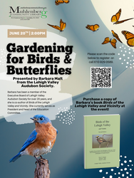 Gardening for Birds & Butterflies