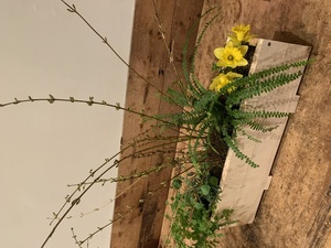 Floral Design Workshop: Small Plants & Arrangements