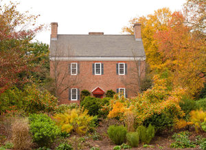 Planting Natives for All Seasons