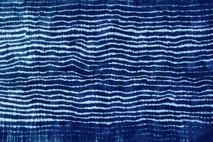 Indigo Resist Dyeing Workshop: Textile Art Series at the Botanical Gardens