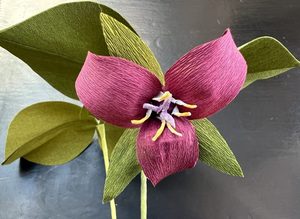 Creating Paper Botanicals: Trillium