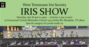IRIS SHOW by West Tennessee Iris Society