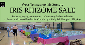 Iris Rhizome Sale