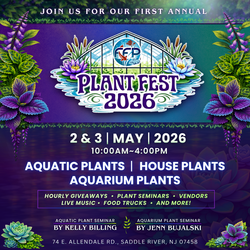 Plant Fest