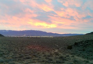 Guided Hike of Rinconada Canyon