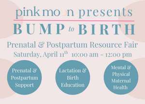Bump To Birth: Prenatal & Postpartum Resource Fair at Pink Moon