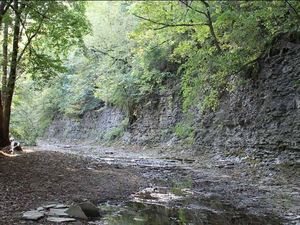 Lobdell Reserve Geology Hike