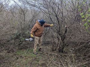 CIA - Conservation In Action