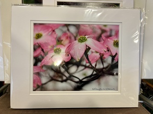 The Joy of Spring Exhibit at the Gallery at York Hall