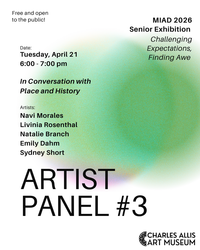 Artist Panel Series