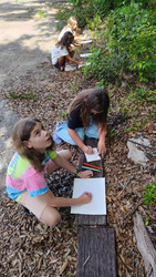 CORK: NATURE AND ART CAMP