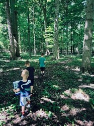 Family-Friendly Tree Tour