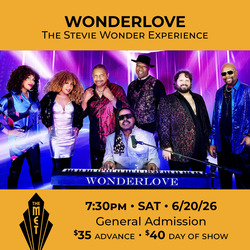 Wonderlove, The Stevie Wonder Experience