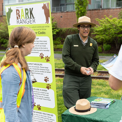 Sustainability Festival!