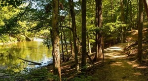 Explore the Carolinas: McDowell Nature Preserve