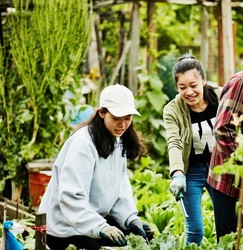 National Gardening Day