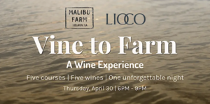 Vine to Farm: A Wine Experience