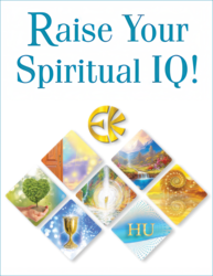 Raise Your Spiritual IQ!