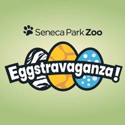 Eggstravaganza