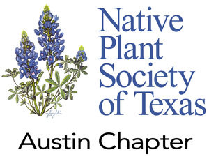 AUSTIN CHAPTER OF THE NATIVE PLANT SOCIETY OF TEXAS SPRING PLANT SALE 2026