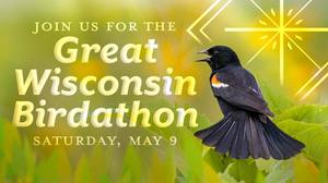 Great Wisconsin Birdathon