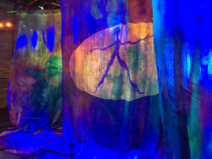 Opening reception of bert leveille: WATERFALL PORTALS