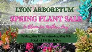 Lyon Arboretum Spring Plant Sale