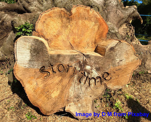 Open Telling Featured at Story Space online Tue 03/31/2026