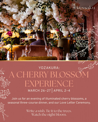 Cherry Blossom Season at Kessaku