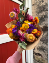 Spring Creek Farm Plant Sale