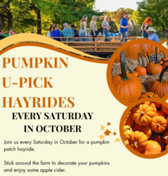 Spring Creek Farm Fall Fest