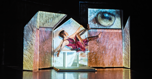 Degenerate Art Ensemble present "Anima Mundi - Amnesia"