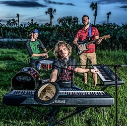 Clematis By Night | Spider Cherry (Soul, Funk, Rock)