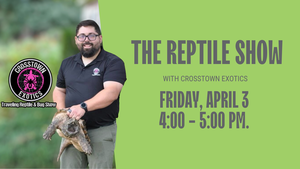The Reptile Show at Block 59