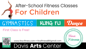 Children's Kung Fu Classes at the Davis Arts Center