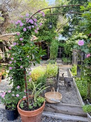 Hanford Garden  Club