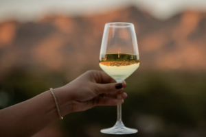 Moonlight Vines: A Celestial Jazz & Wine Experience