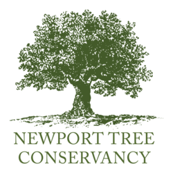 Native Pot-Up Volunteer Event