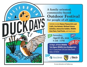 California Duck Days