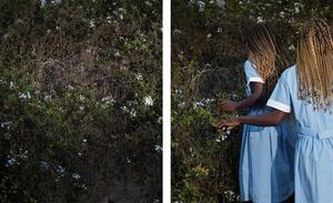 Special Edition Gallery Talk with Widline Cadet