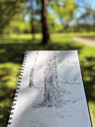 Gestural Landscape:  Charcoal Sketching in the Gardens