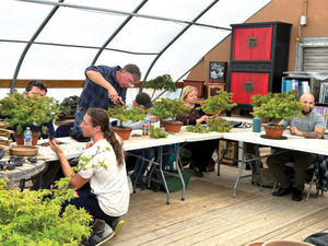 Bonsai Essentials 1:  Beginner Workshop with Peter Olson