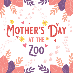 Mother's day at the Zoo